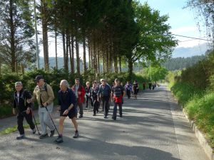 Un tramo por la carretera