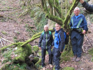 Nacimiento río Mañaria