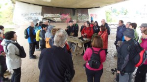 Antes de la salida...