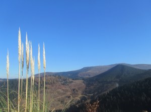 IMG_5563