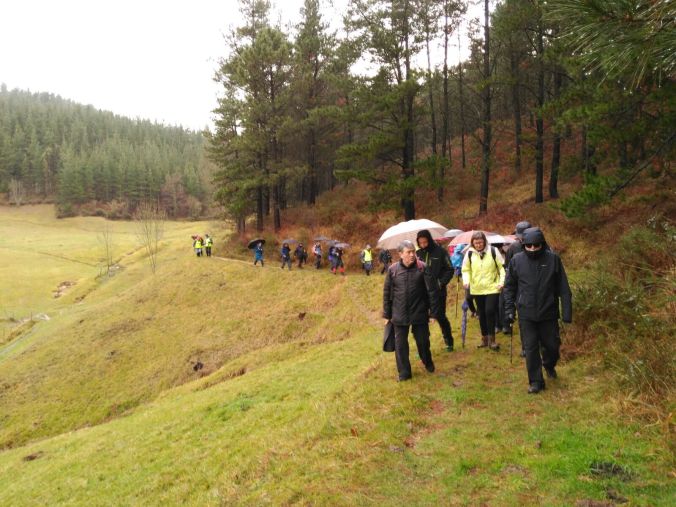 WhatsApp Image 2017-01-13 at 17.14.34.jpeg